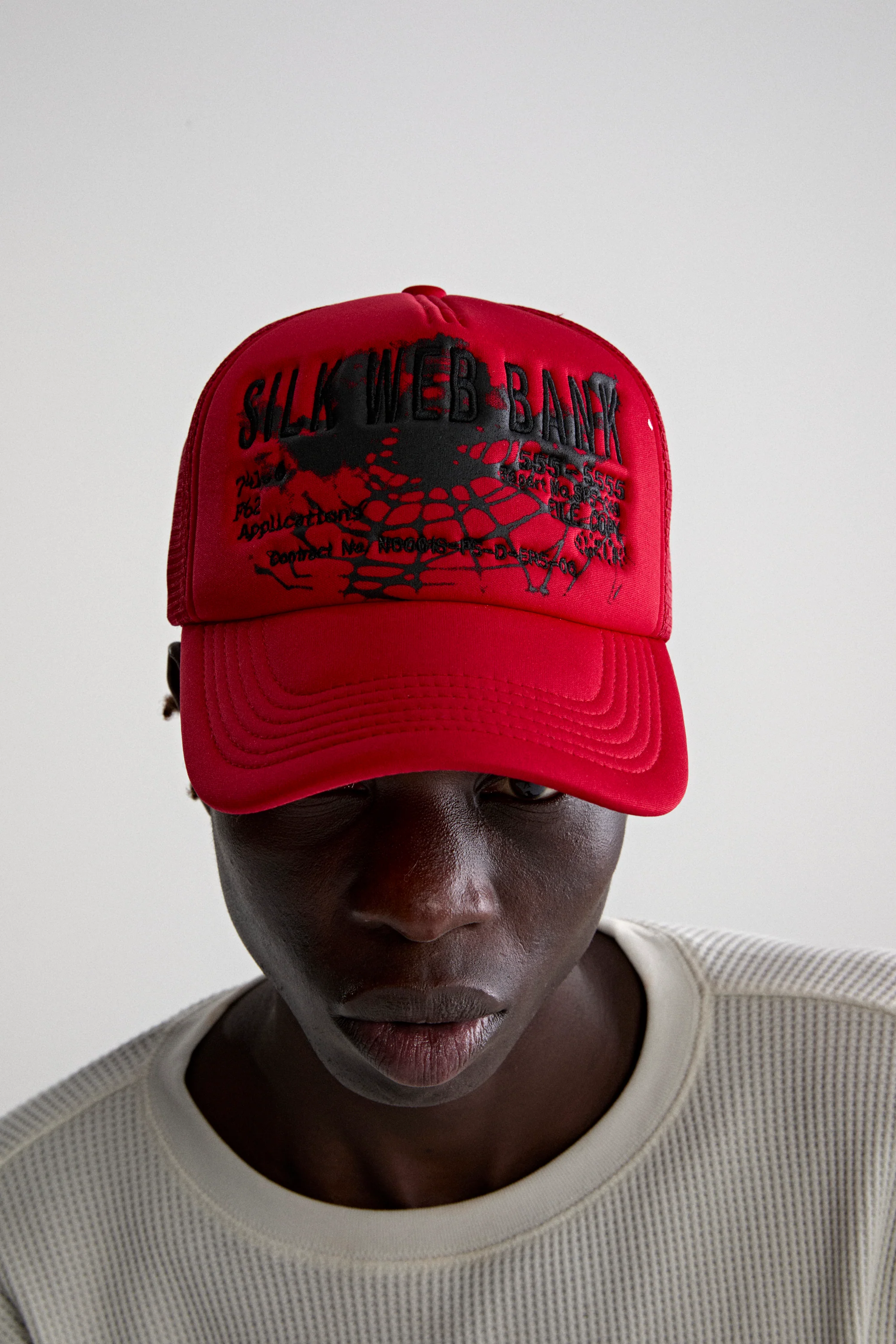 SILK WEB BANK TRUCKER - Image 6