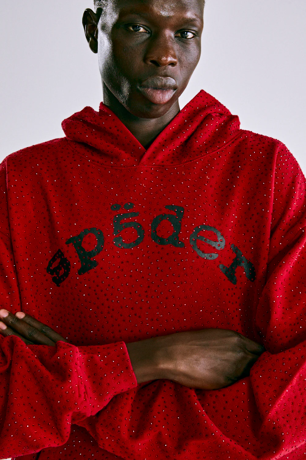 VVS HOODIE - Image 9