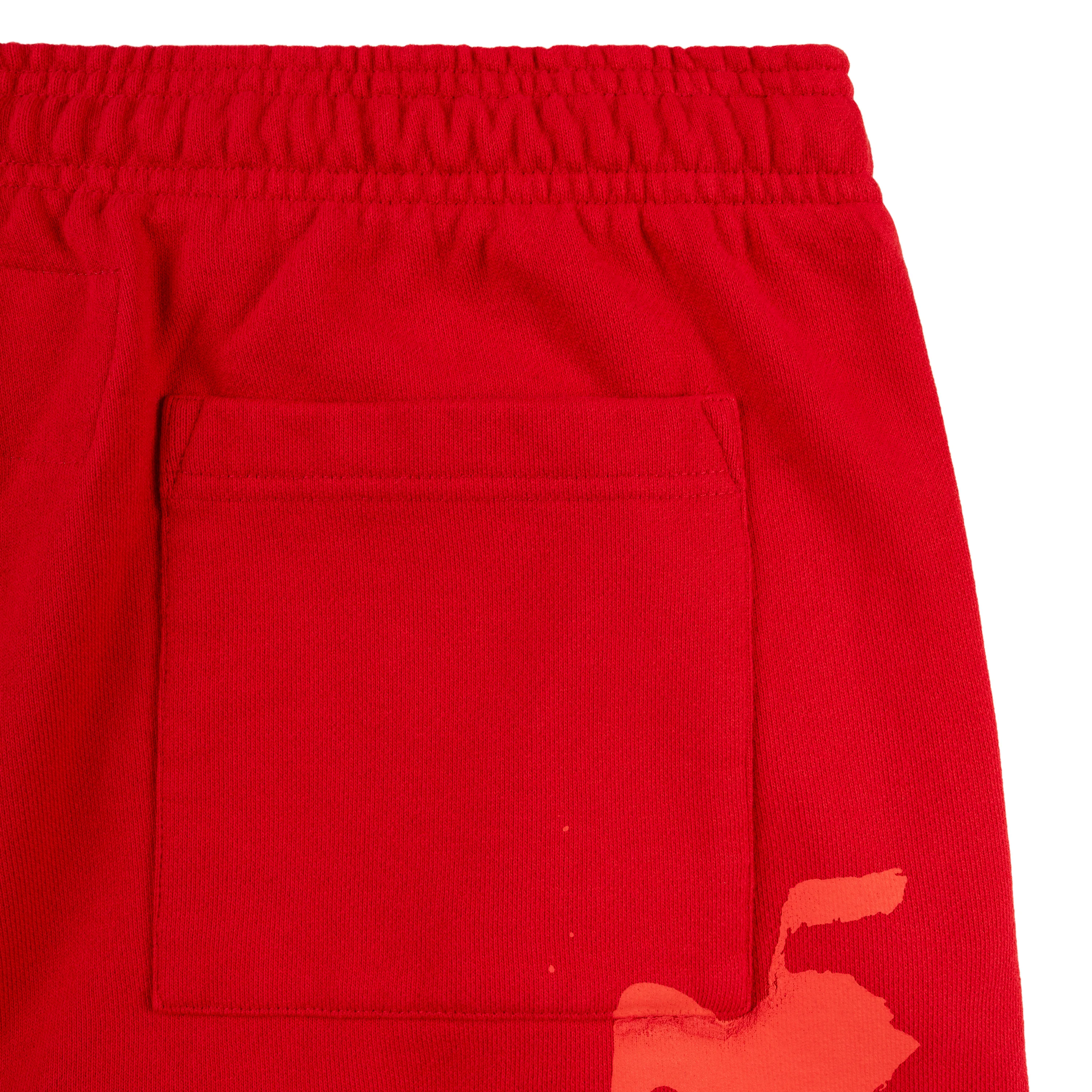 X-RAY SWEATPANT - Image 6